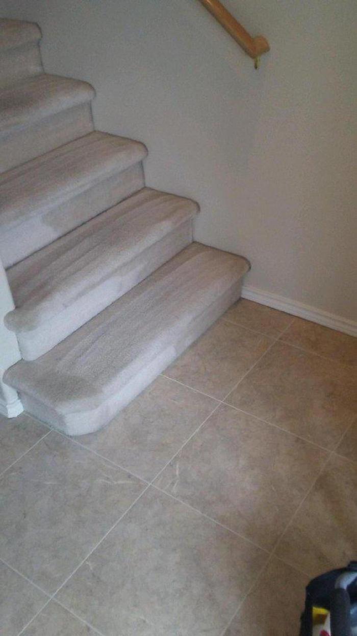 Absolute Carpet Cleaning Inc - Portland, OR