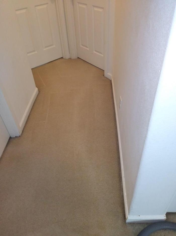 Absolute Carpet Cleaning Inc - Portland, OR