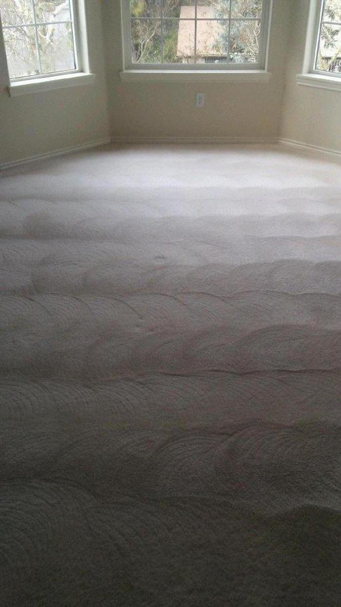 Absolute Carpet Cleaning Inc - Portland, OR