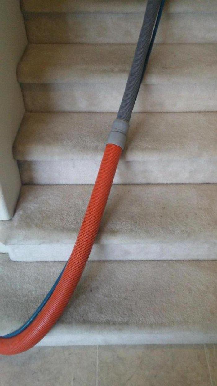Absolute Carpet Cleaning Inc - Portland, OR