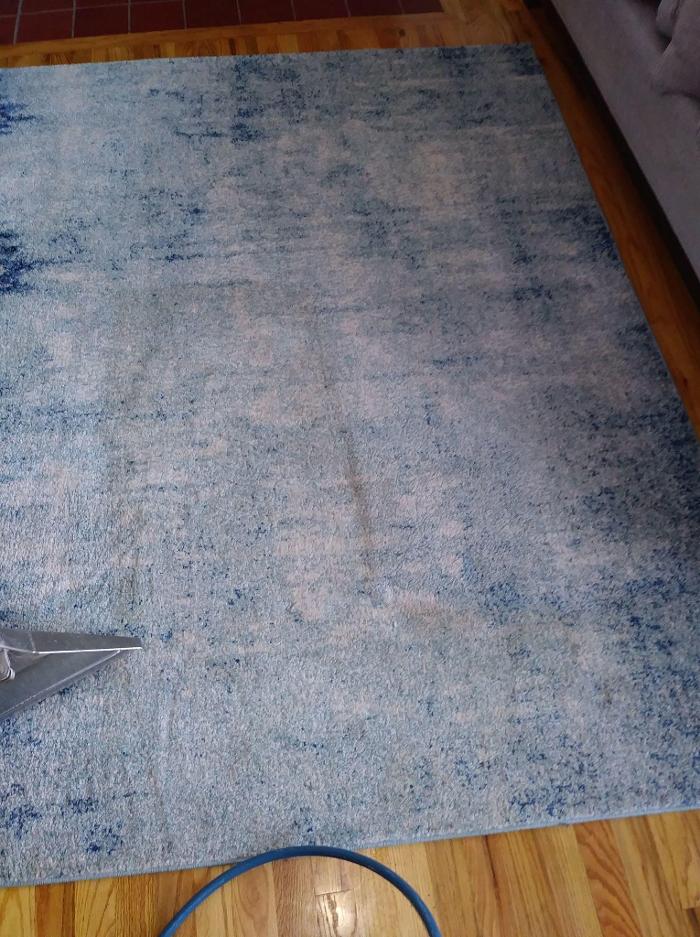 Absolute Carpet Cleaning Inc - Portland, OR