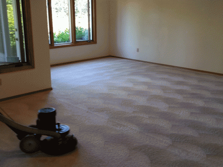 Absolute Carpet Cleaning Inc - Portland, OR
