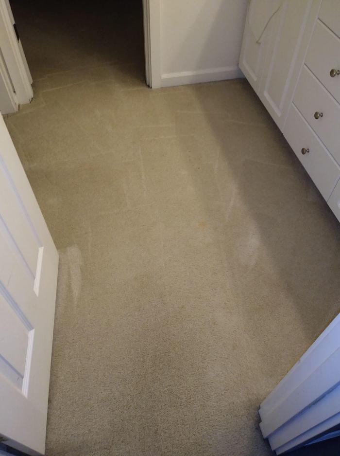 Absolute Carpet Cleaning Inc - Portland, OR
