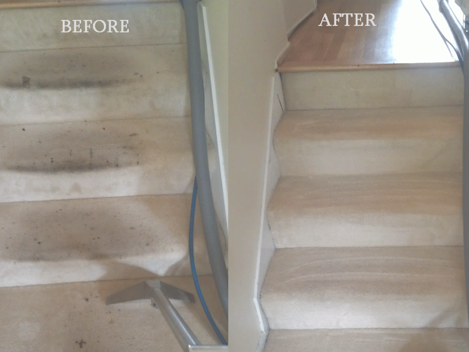 Absolute Carpet Cleaning Inc - Portland, OR