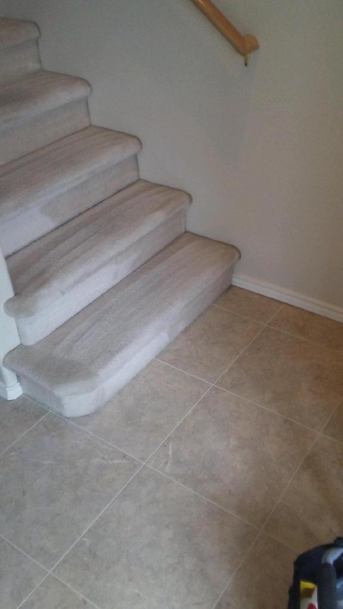 Absolute Carpet Cleaning Inc - Portland, OR