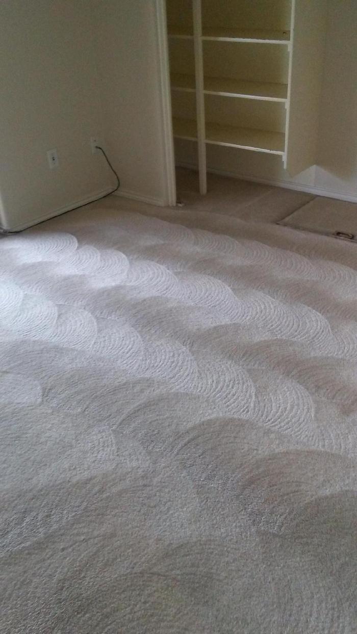 Absolute Carpet Cleaning Inc - Portland, OR