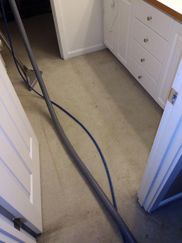 Absolute Carpet Cleaning Inc - Portland, OR