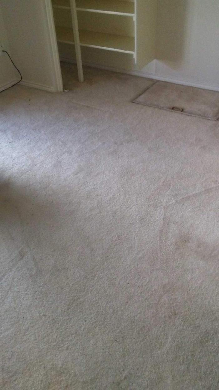Absolute Carpet Cleaning Inc - Portland, OR