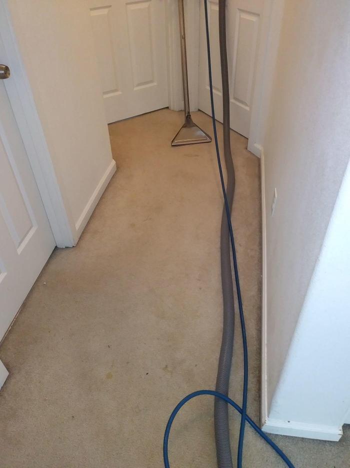 Absolute Carpet Cleaning Inc - Portland, OR