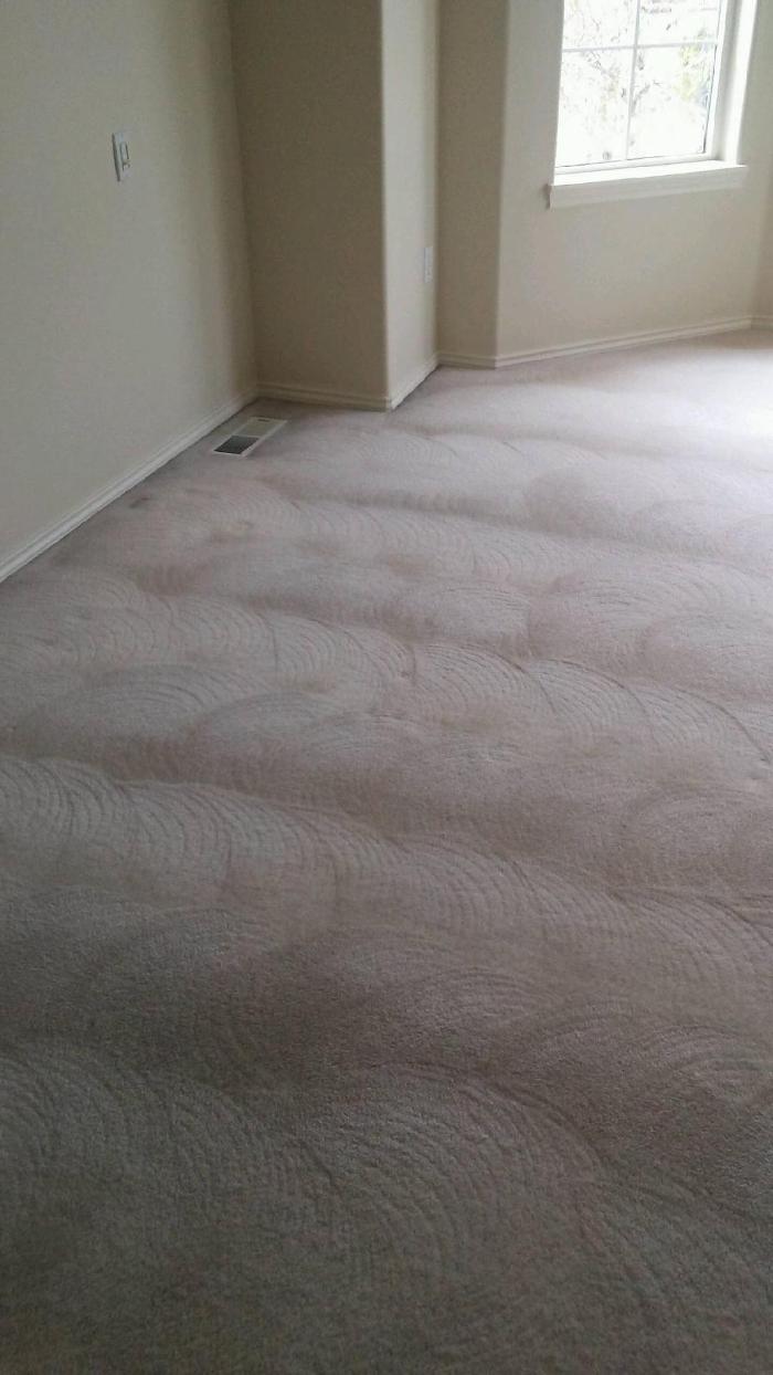 Absolute Carpet Cleaning Inc - Portland, OR