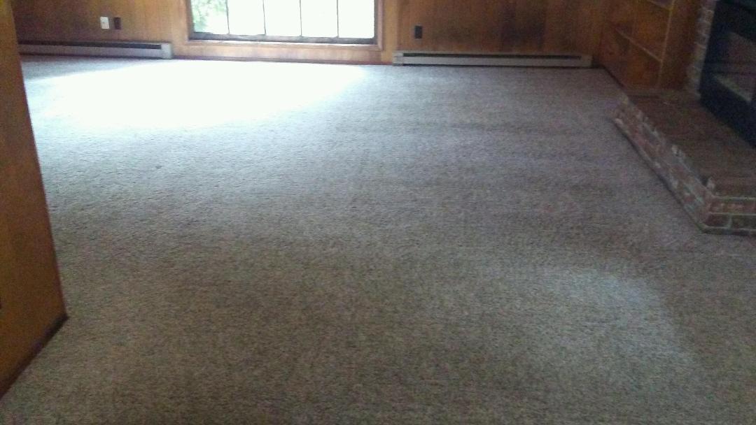 Absolute Carpet Cleaning Inc Portland (503)351-4954