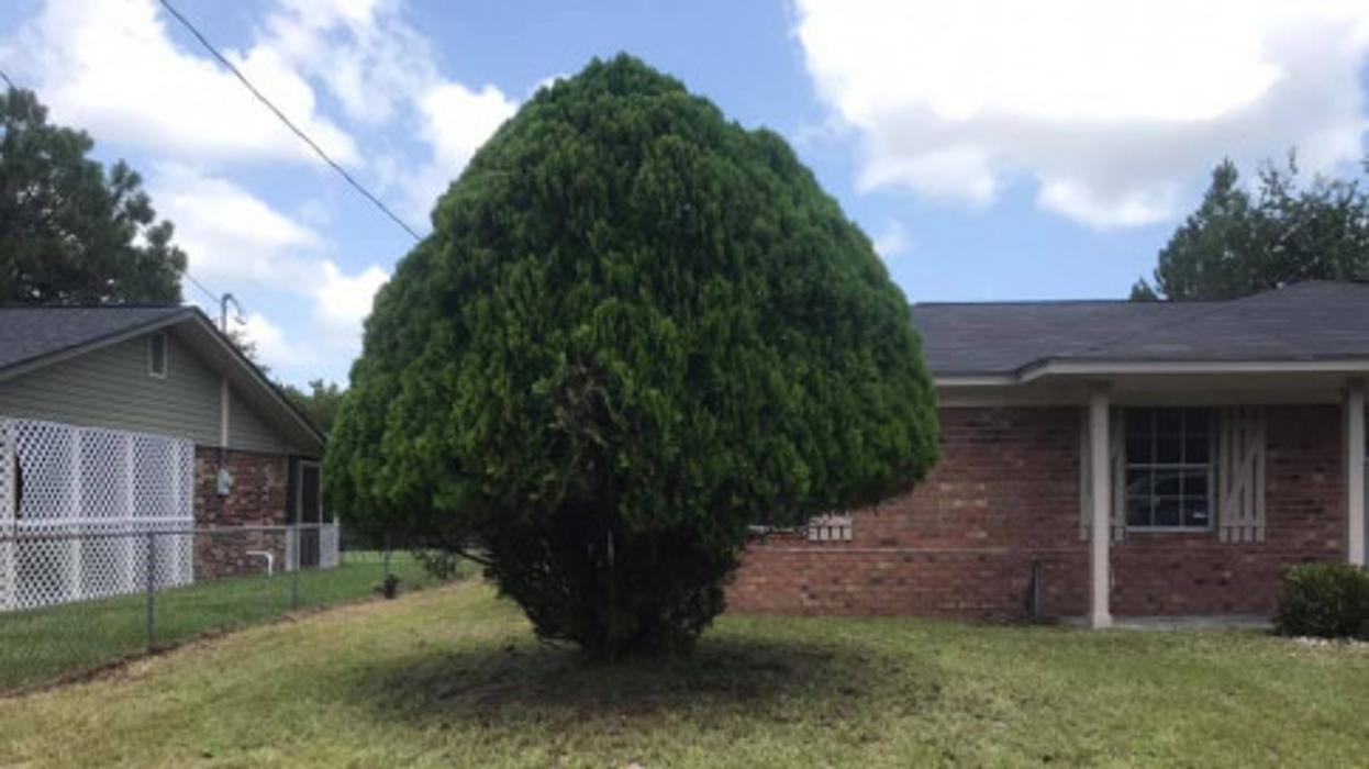 Lawns By Floyd - Hinesville, GA