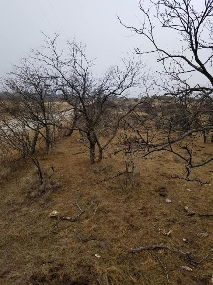 Circle K&L Dirt Work - Tuscola, TX