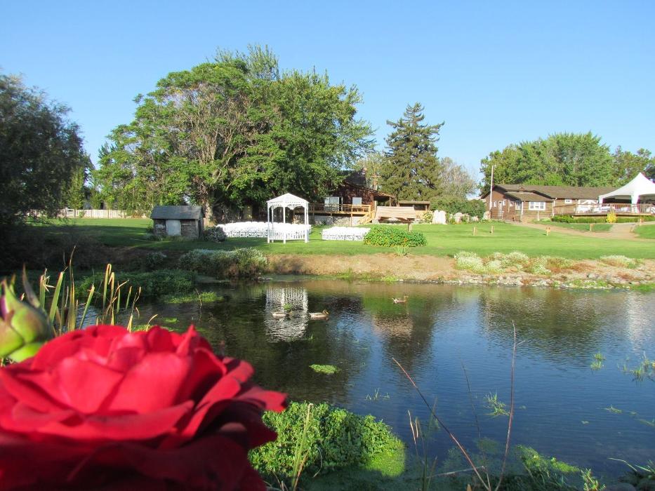 Spring Creek Homestead - Yakima, WA