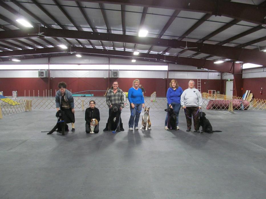 4 Paws DogWorks - Richland, WA