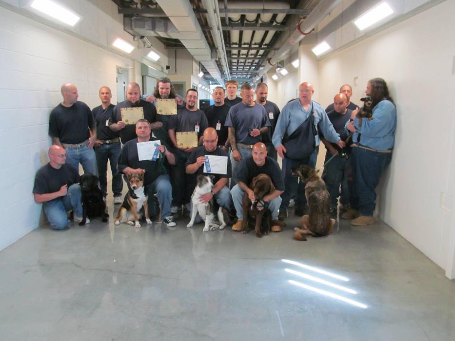 4 Paws DogWorks - Richland, WA