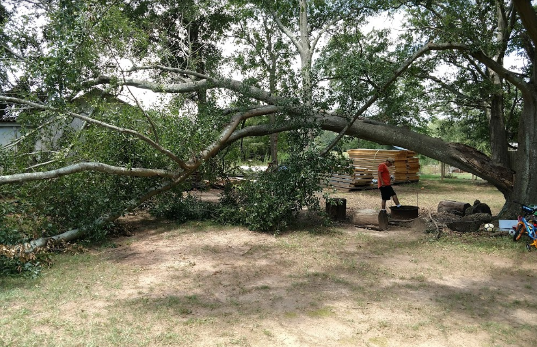 Paul's Tree Service and Stump Grinding - Pelzer, SC