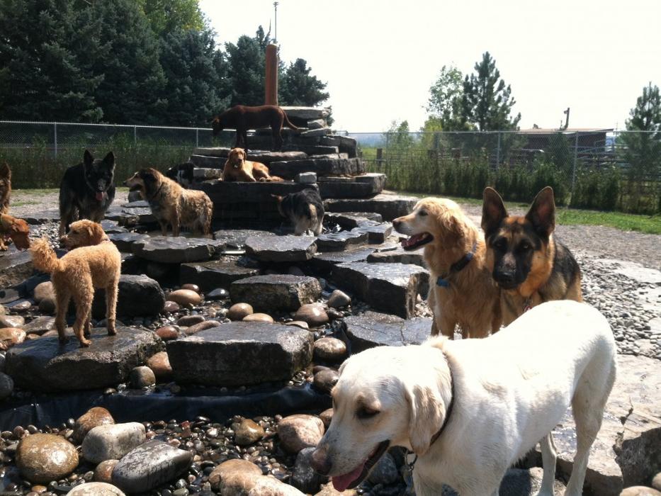 AnimaLodge Pet Resort - Laurel, MT