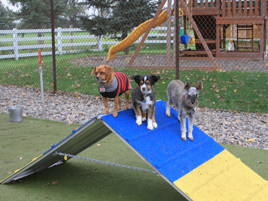 AnimaLodge Pet Resort - Laurel, MT