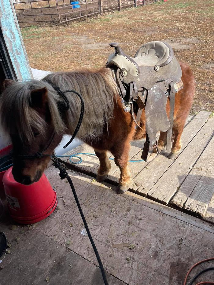 Northwest Veterinary and Supply - Mitchell Vet Shack - Mitchell, SD