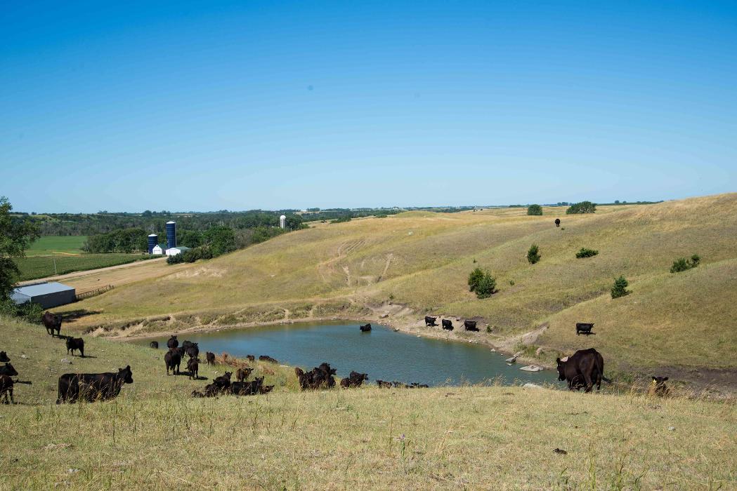Northwest Veterinary and Supply - Mitchell Vet Shack - Mitchell, SD
