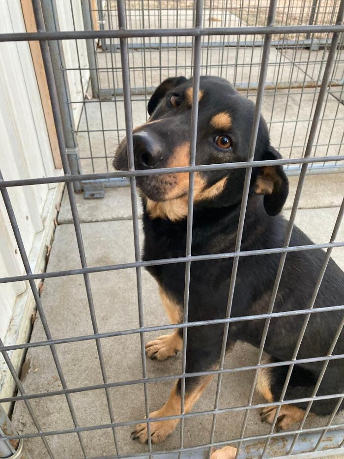 Northwest Veterinary and Supply - Mitchell Vet Shack - Mitchell, SD