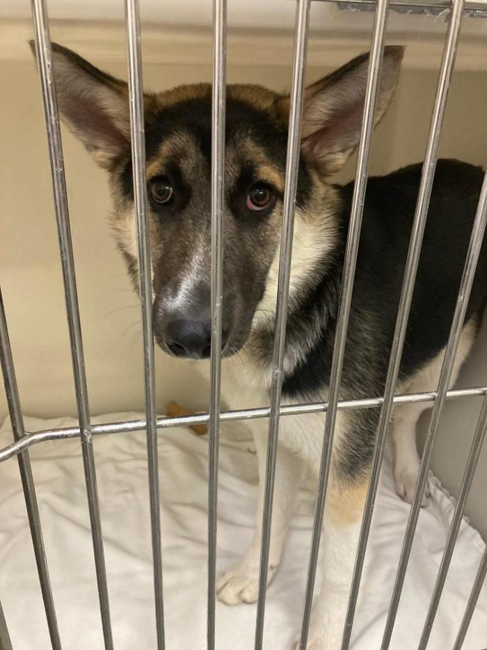 Northwest Veterinary and Supply - Mitchell Vet Shack - Mitchell, SD