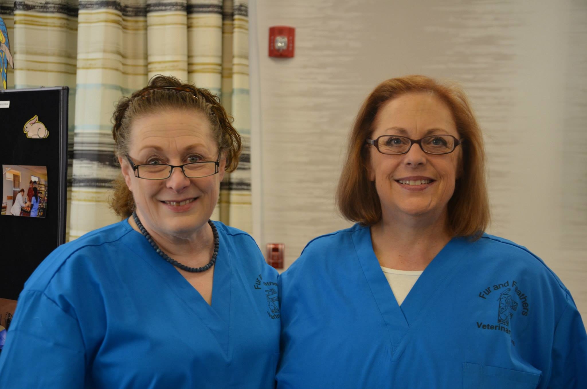 Fur and Feathers Veterinary Care