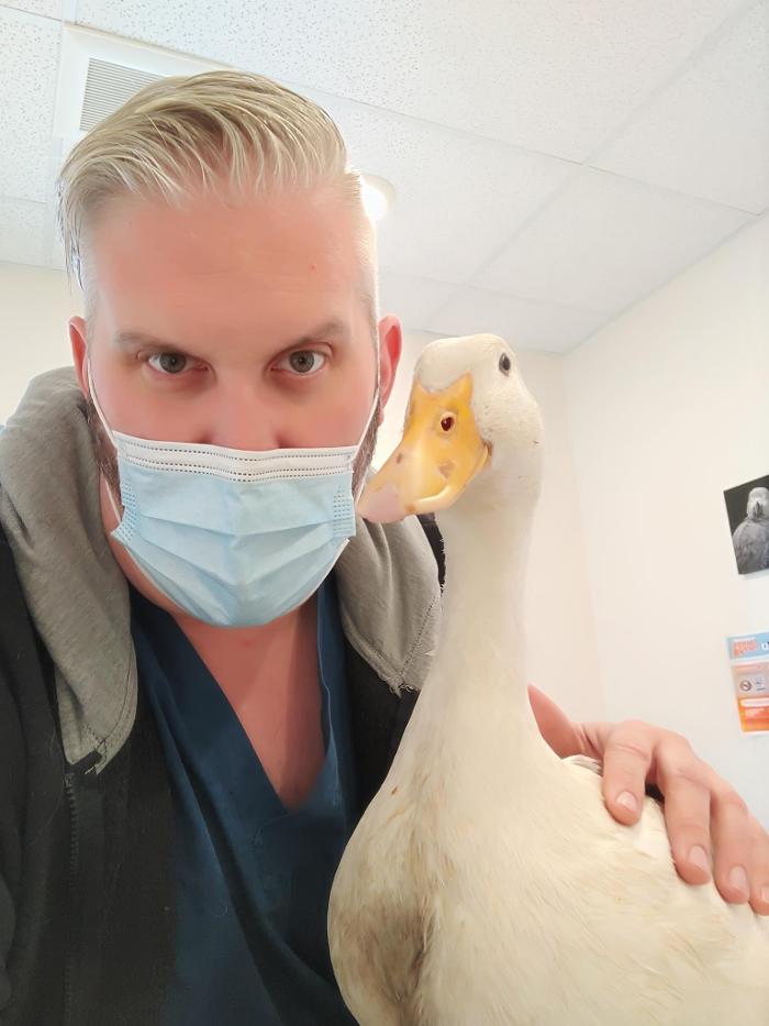 Fur and Feathers Veterinary Care - Binghamton, NY