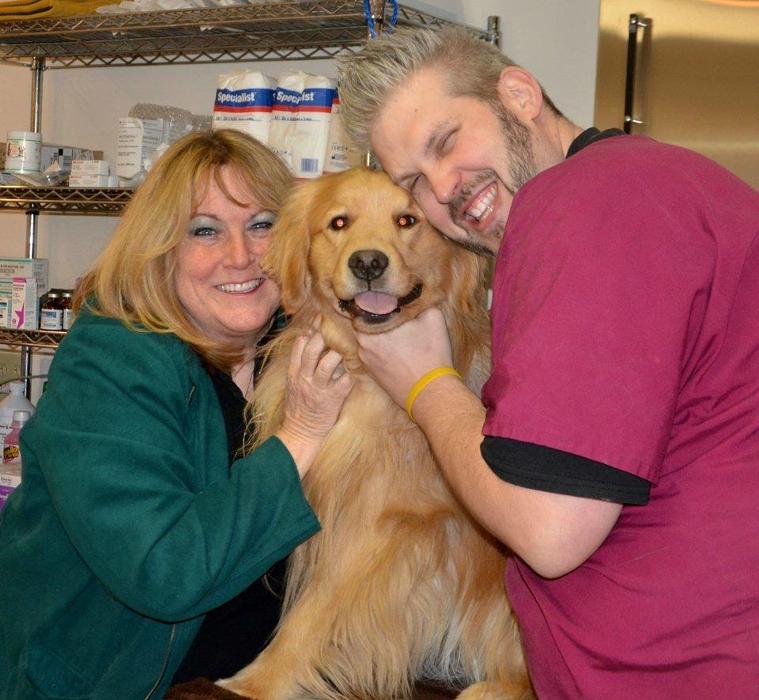 Fur and Feathers Veterinary Care - Binghamton, NY