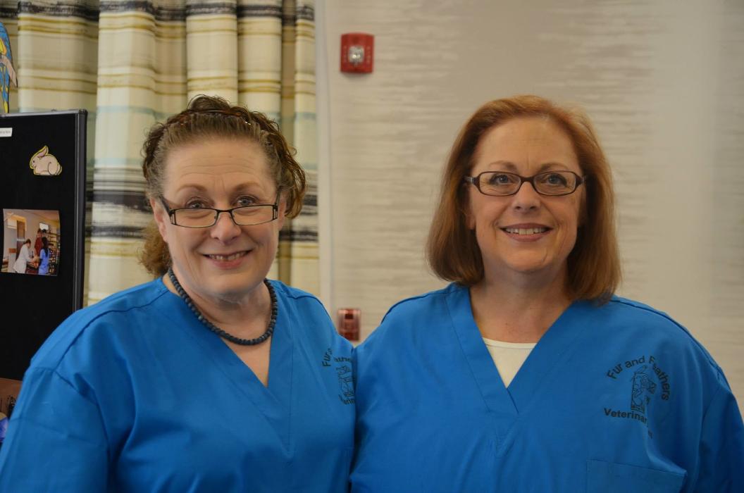 Fur and Feathers Veterinary Care - Binghamton, NY