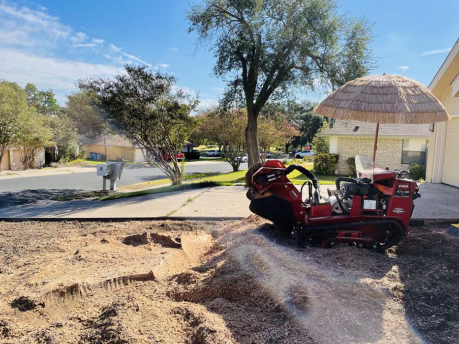 Austin Stump Buster - Austin, TX