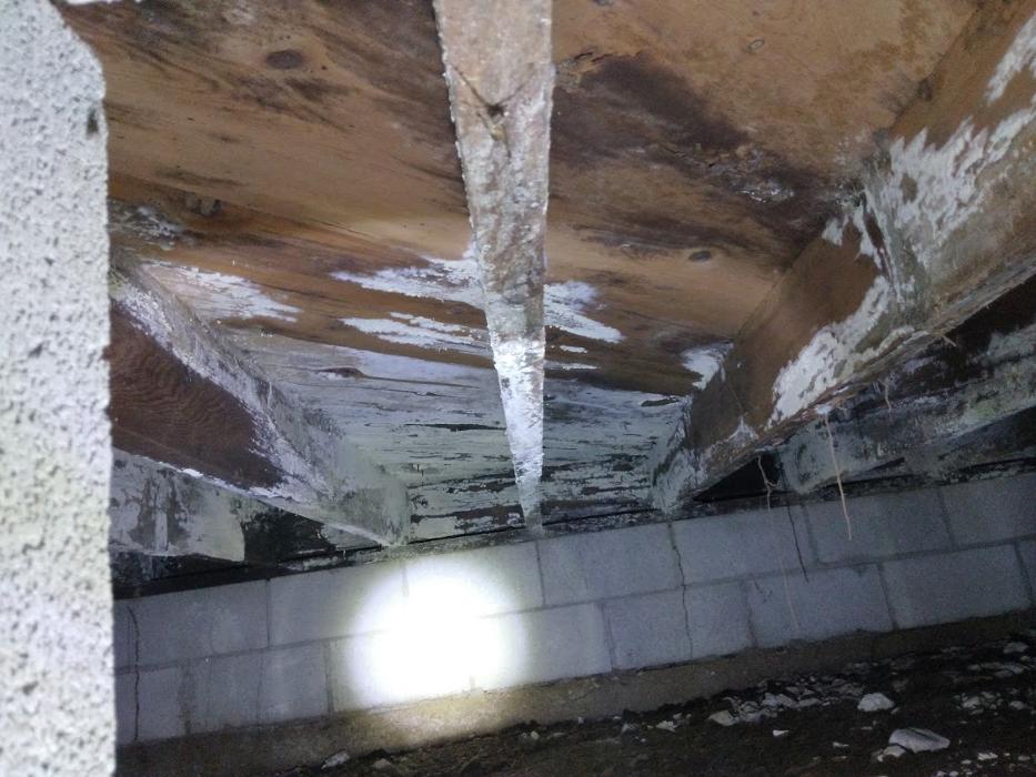 Ortex Systems - Ozark, MO