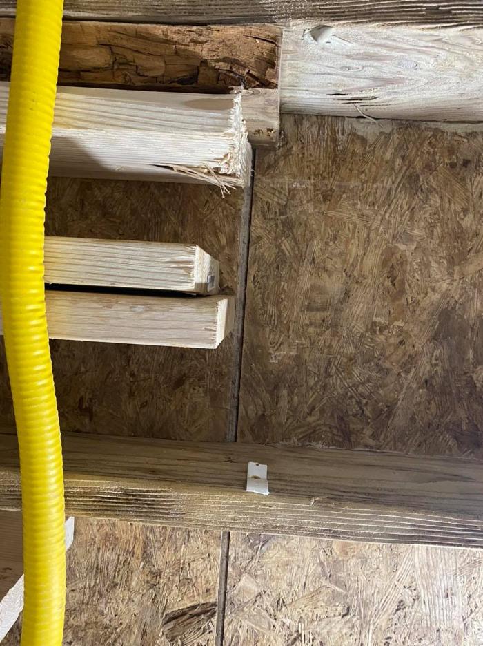 Ortex Systems - Ozark, MO