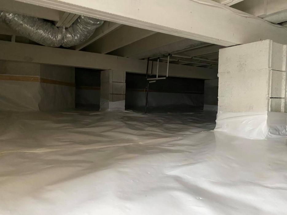 Ortex Systems - Ozark, MO