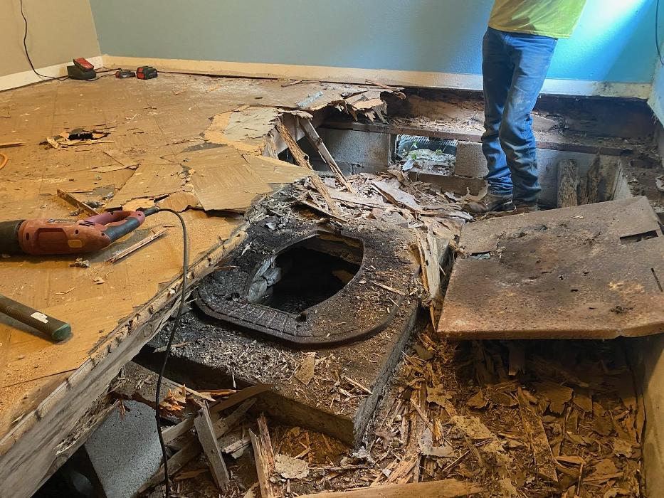 Ortex Systems - Ozark, MO