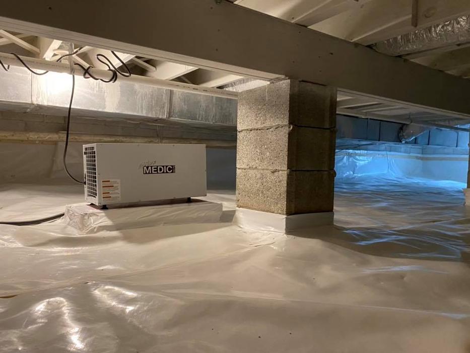 Ortex Systems - Ozark, MO