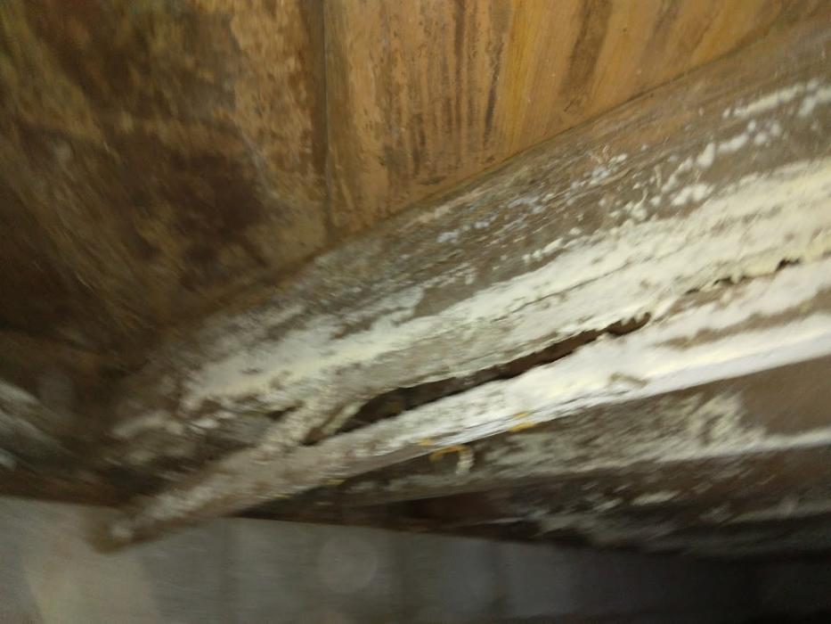 Ortex Systems - Ozark, MO