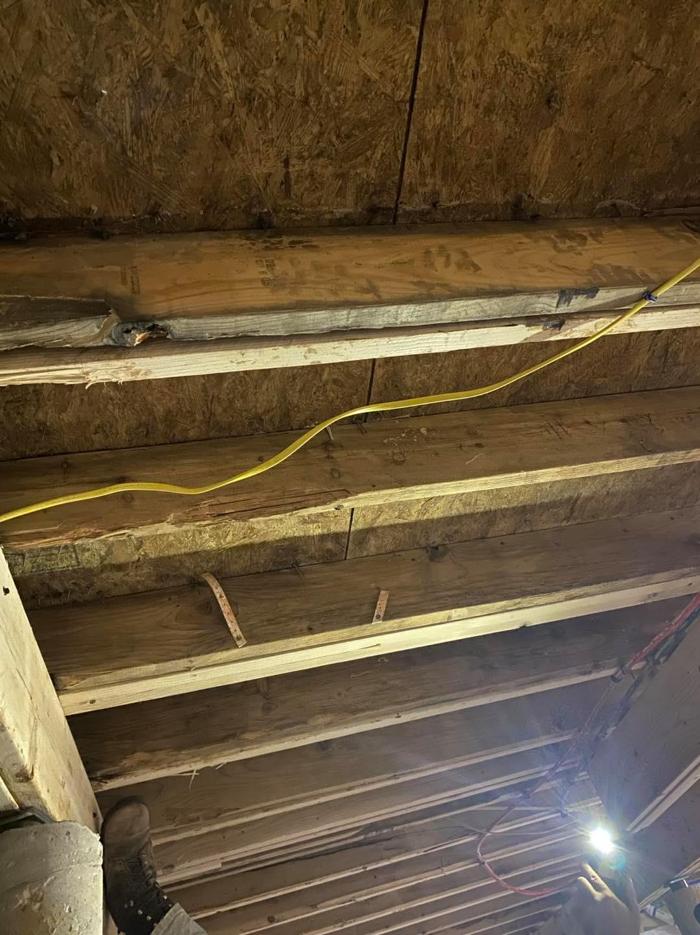 Ortex Systems - Ozark, MO
