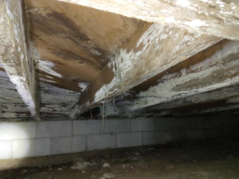 Ortex Systems - Ozark, MO