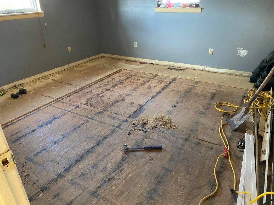 Ortex Systems - Ozark, MO