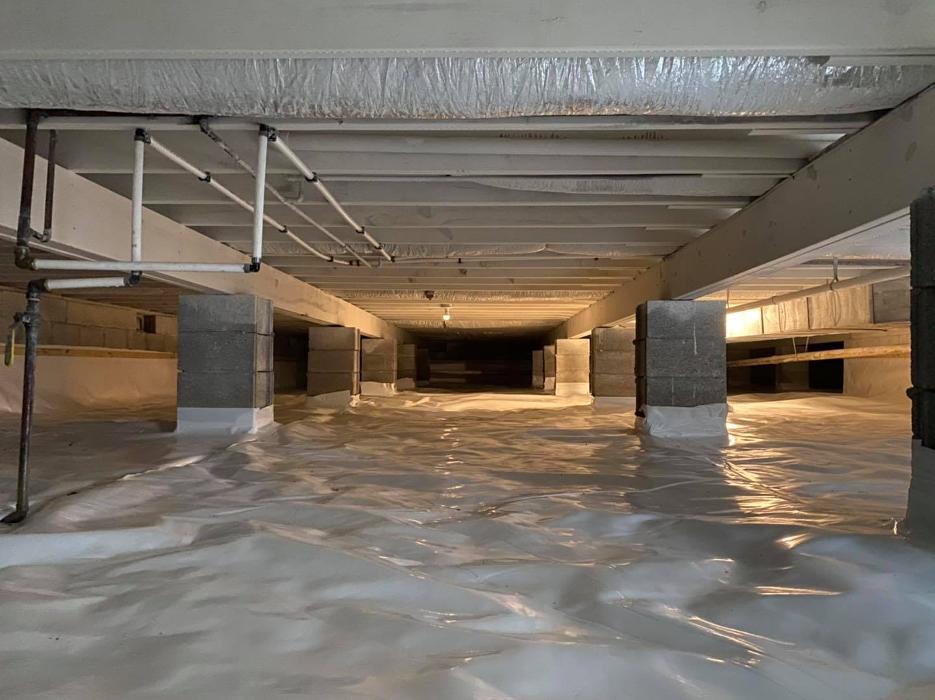 Ortex Systems - Ozark, MO