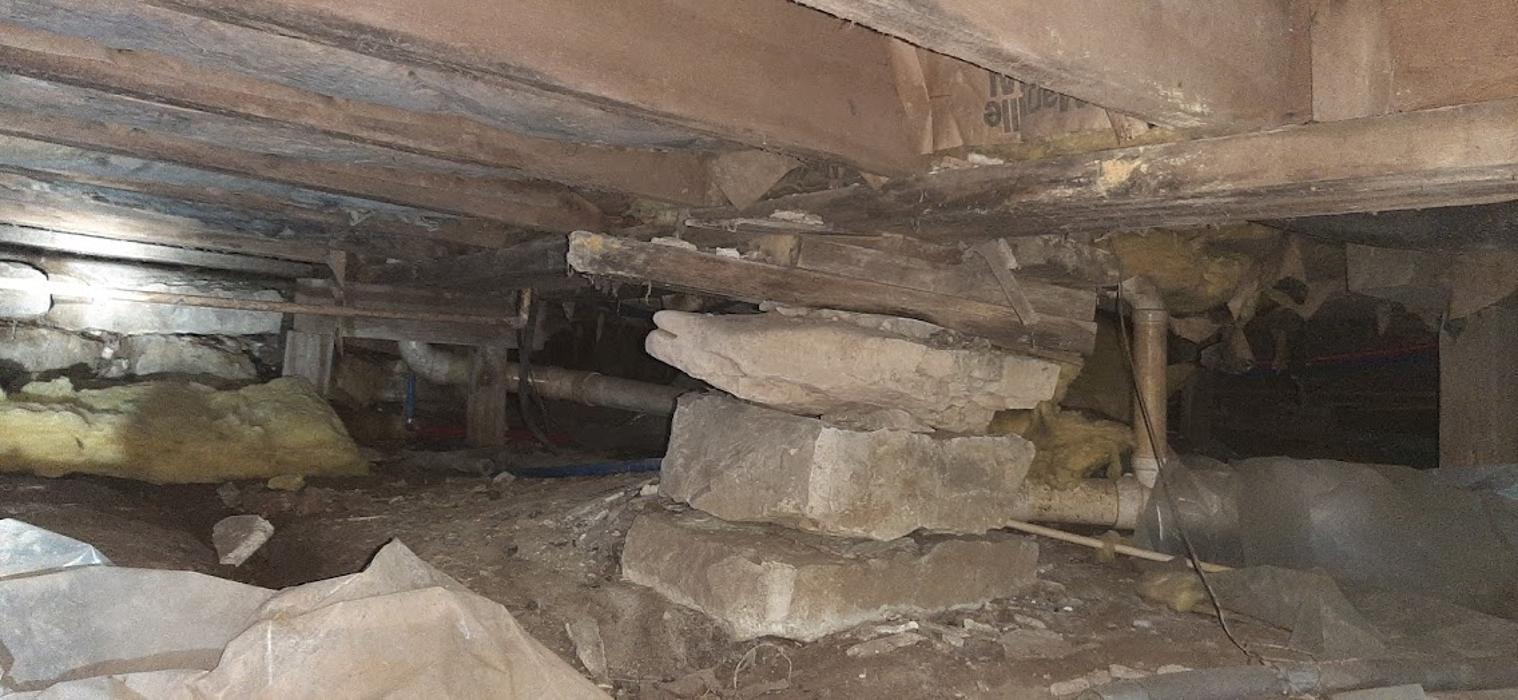 Ortex Systems - Ozark, MO