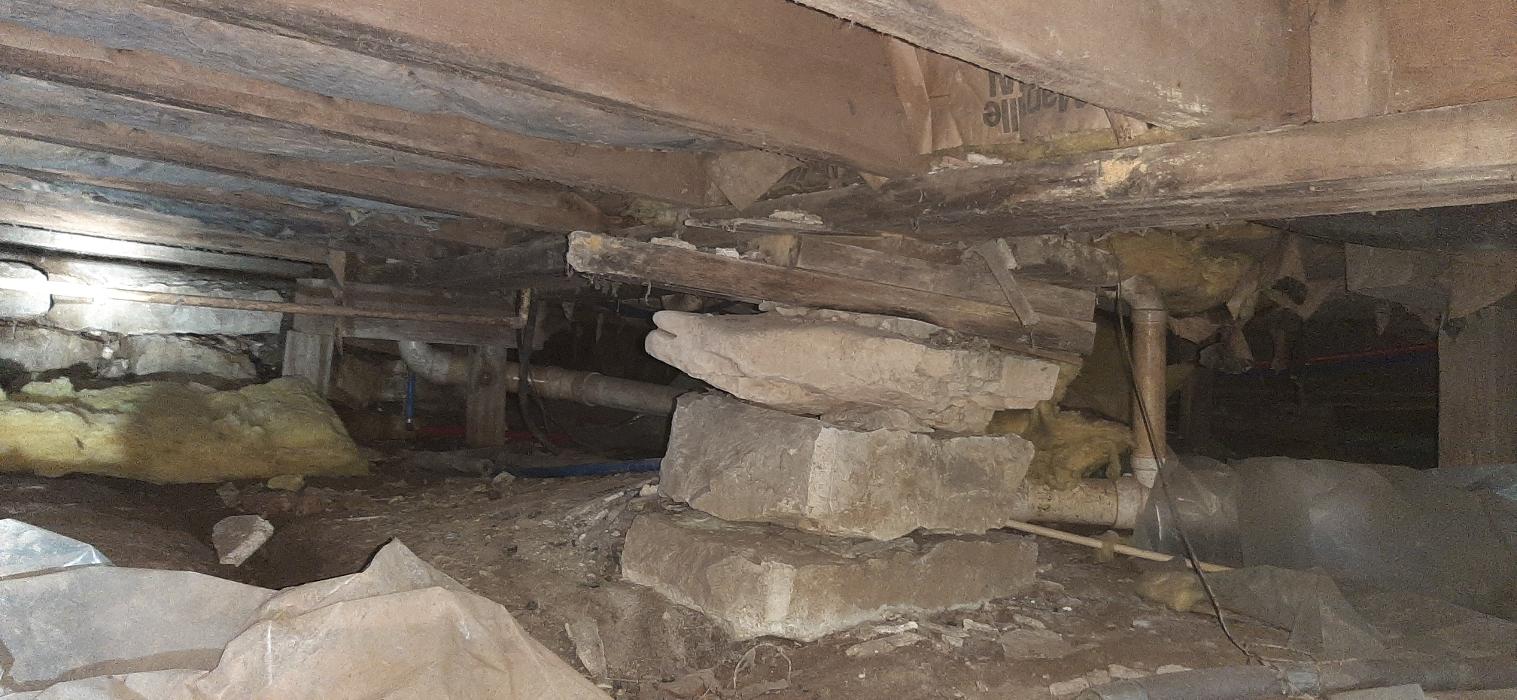 Ortex Systems - Ozark, MO