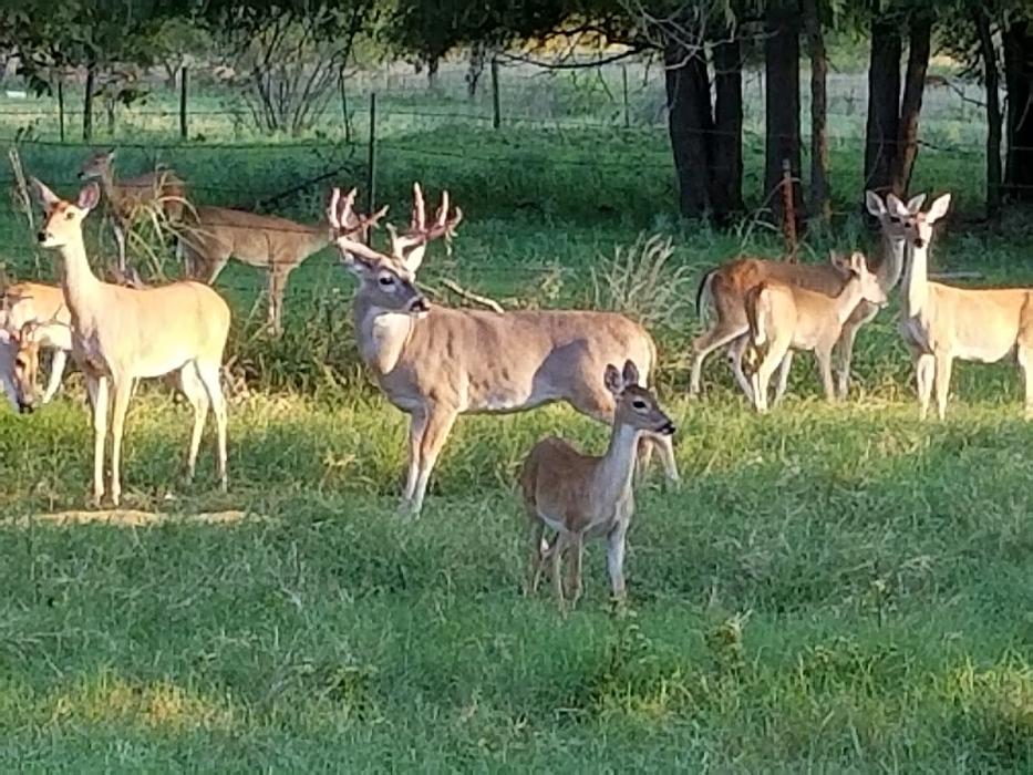Basin RV Resorts - Bastrop, TX