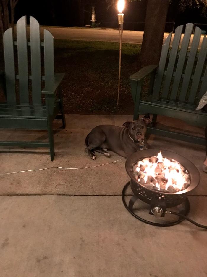 Basin RV Resorts - Bastrop, TX