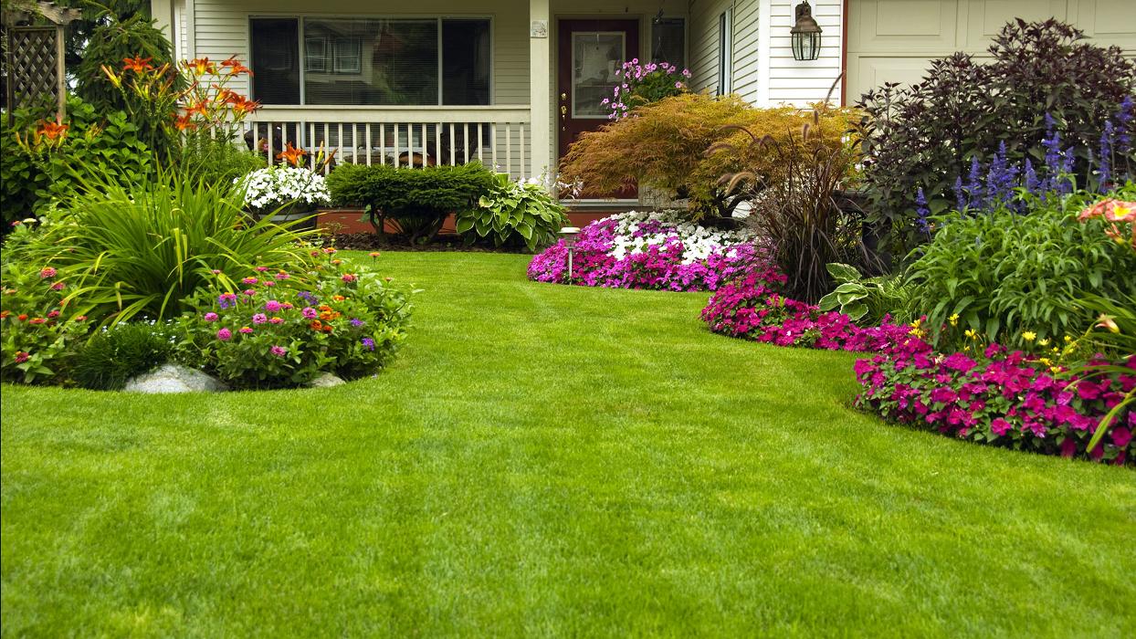 Mountain View Spraying Service - Garden City, ID