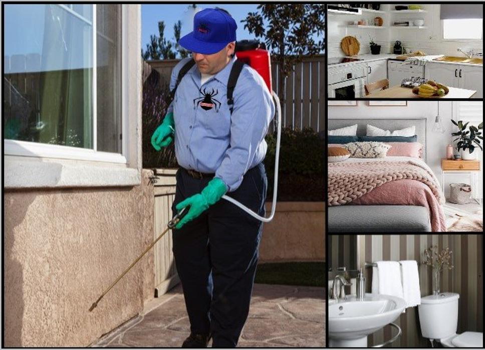 Villalobos Pest Control - El Paso, TX
