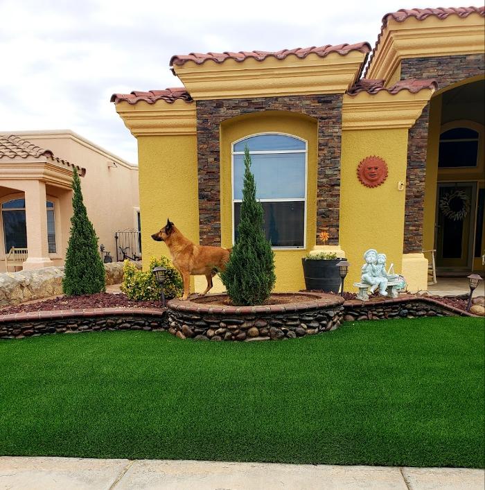 Villalobos Pest Control - El Paso, TX