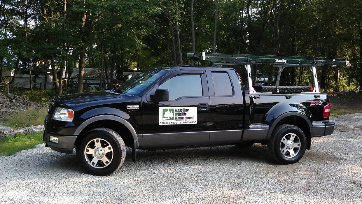 Mass Bay Wildlife Management Inc - Foxboro, MA